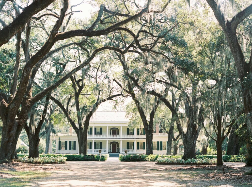  Portrait of the oak-lined alley at Rosedown Plantation in Saint Francisville, LA, photographed by Morgan Alysse Photography.