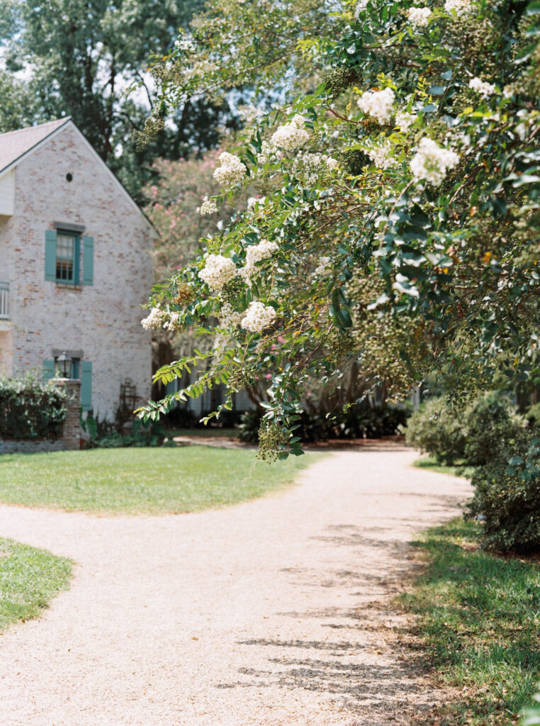  Portrait of the courtyard| Photos of The Myrtles Plantation in Saint Francisville, LA, photographed by Morgan Alysse Photography.