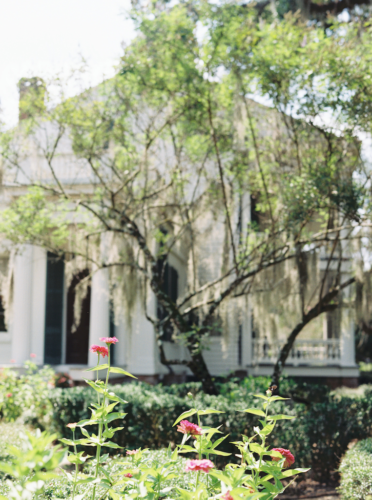 Romantic Rosedown Plantation engagement session in Saint Francisville, Louisiana, shot by Morgan Alysse Photography.