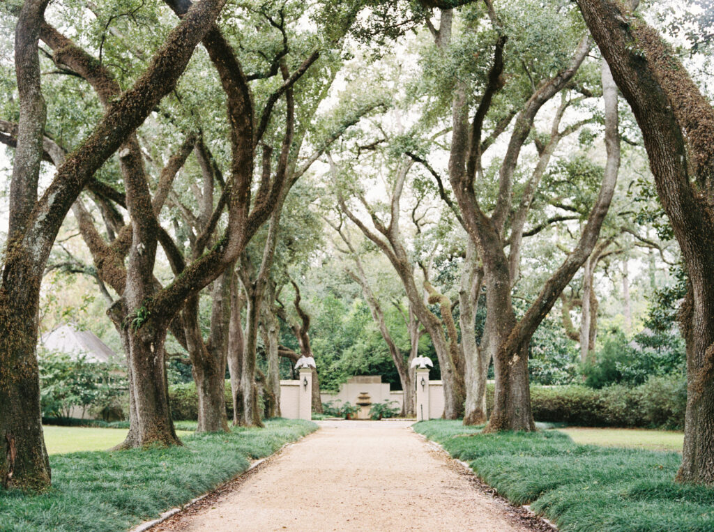 ridal portraits at Longue Vue House and Gardens featuring a classic white gown.